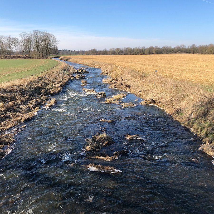 Hochwasserschutz und Gewässerentwicklung
